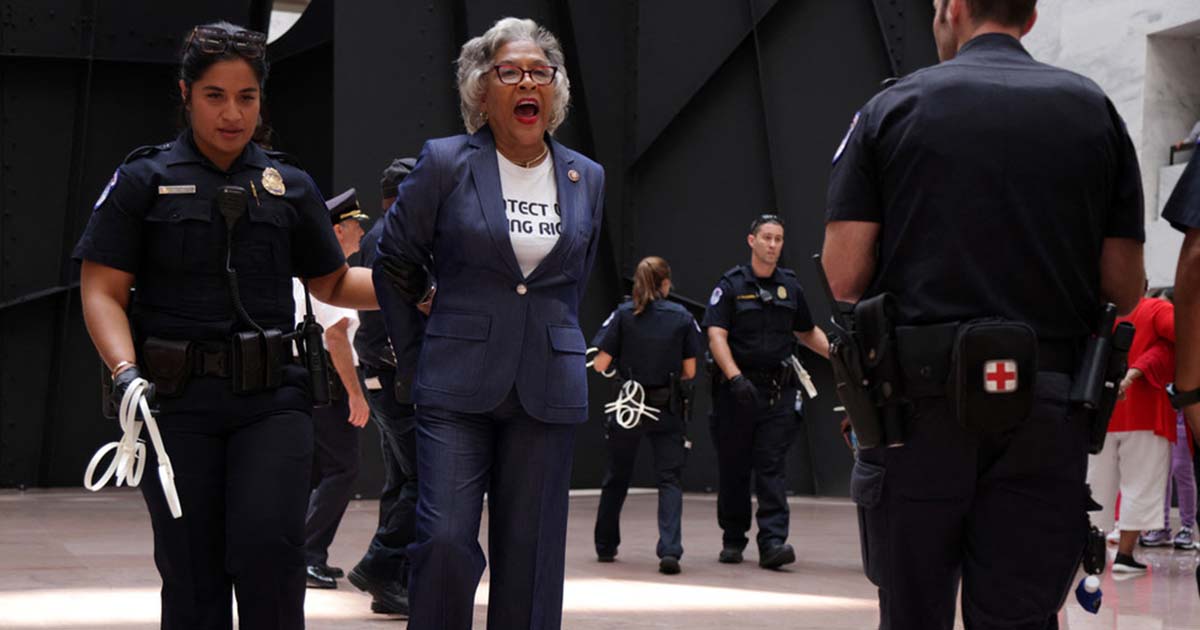 Congressional Black Caucus Chairwoman Arrested Protesting In Senate